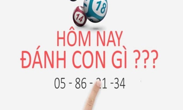 H&ocirc;m nay đ&aacute;nh con l&ocirc; n&agrave;o chắc thắng
