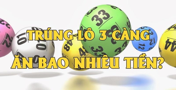 Đề 3 c&agrave;ng ăn bao nhi&ecirc;u? 3 c&agrave;ng 1 ăn bao nhi&ecirc;u?