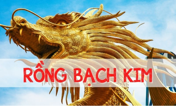 Một số phương ph&aacute;p soi cầu l&ocirc; rồng bạch kim 888 được nhiều người &aacute;p dụng