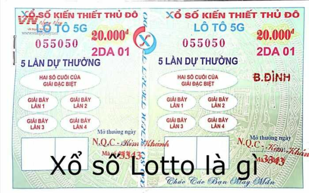Kh&aacute;i niệm l&ocirc; t&ocirc; l&agrave; g&igrave;?